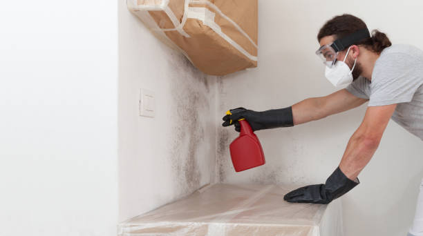 Professional Attic Mold Remediation technician working in Southborough, MA