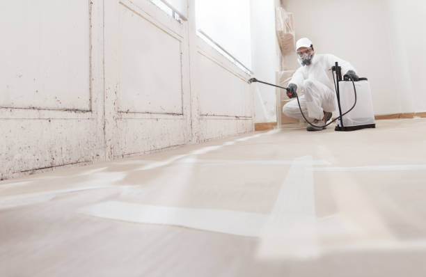 24/7 Emergency Attic Mold Remediation experts in Southborough, MA
